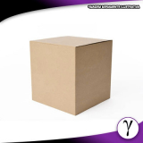 Caixas de Papelão Resinado