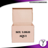 Caixa de Papelão Personalizada com Logo
