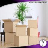 Distribuidor de Caixa de Papelão