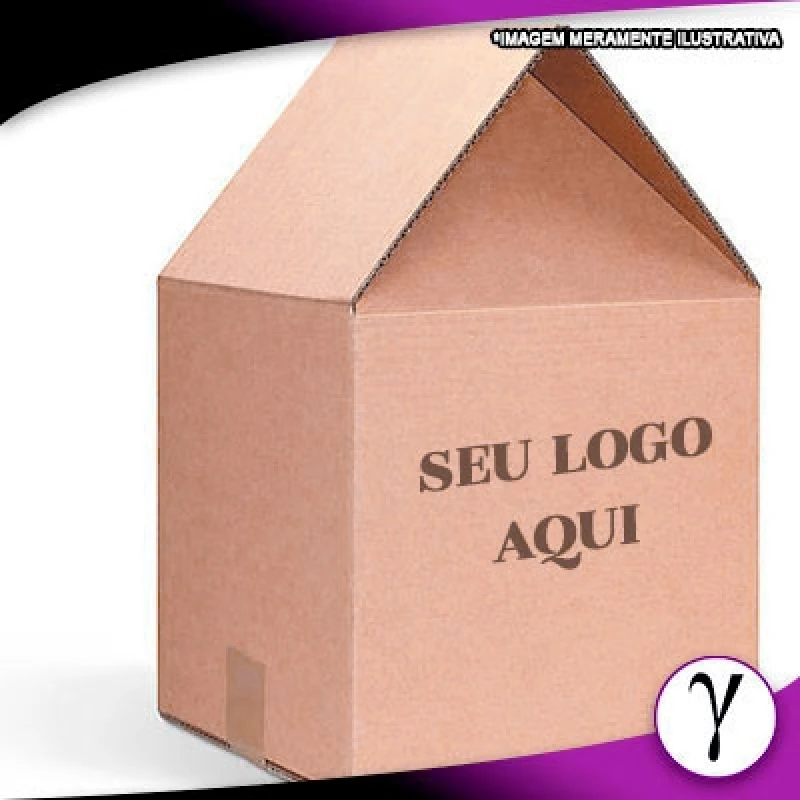 Fornecedor de caixa de papelão estampada